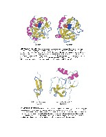 Bhagavan Medical Biochemistry 2001, page 1055